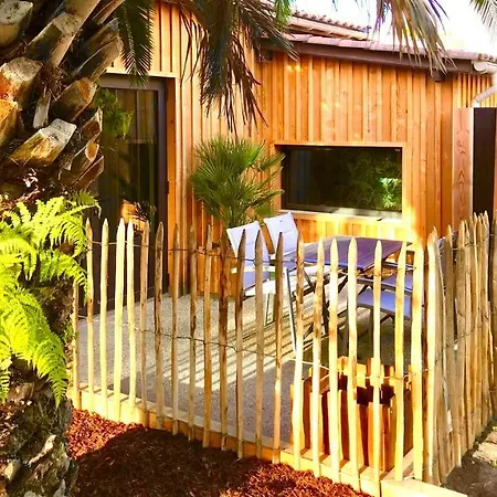 Les cocons du bassins - Logements neufs tout équipés proche littoral-3
